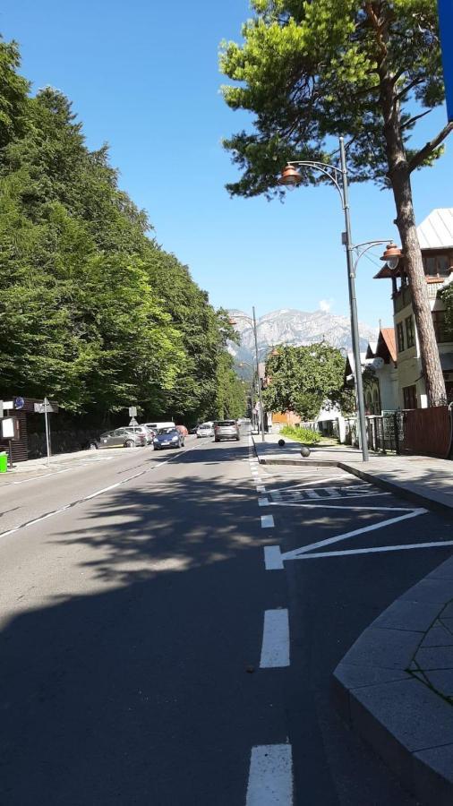 Monik Apartament Sinaia Ngoại thất bức ảnh