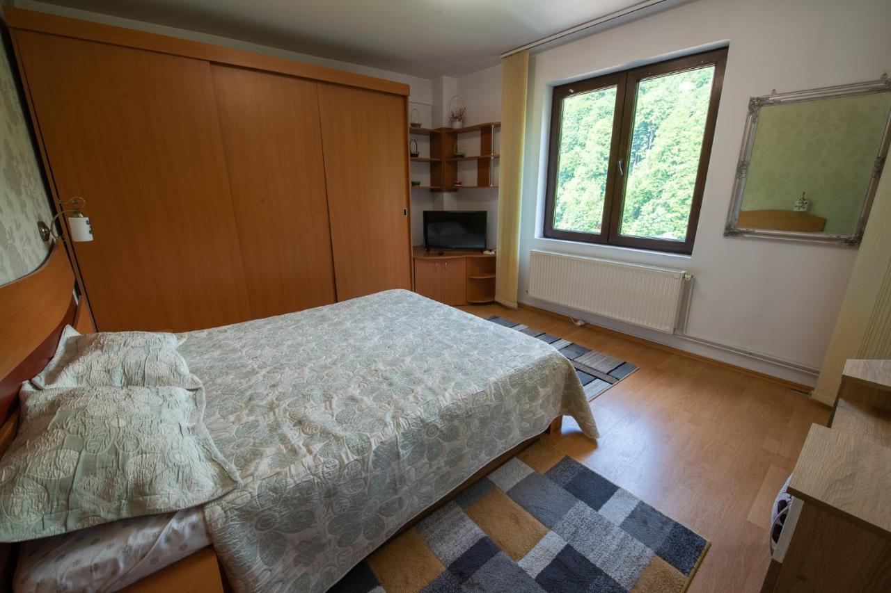 Monik Apartament Sinaia Ngoại thất bức ảnh