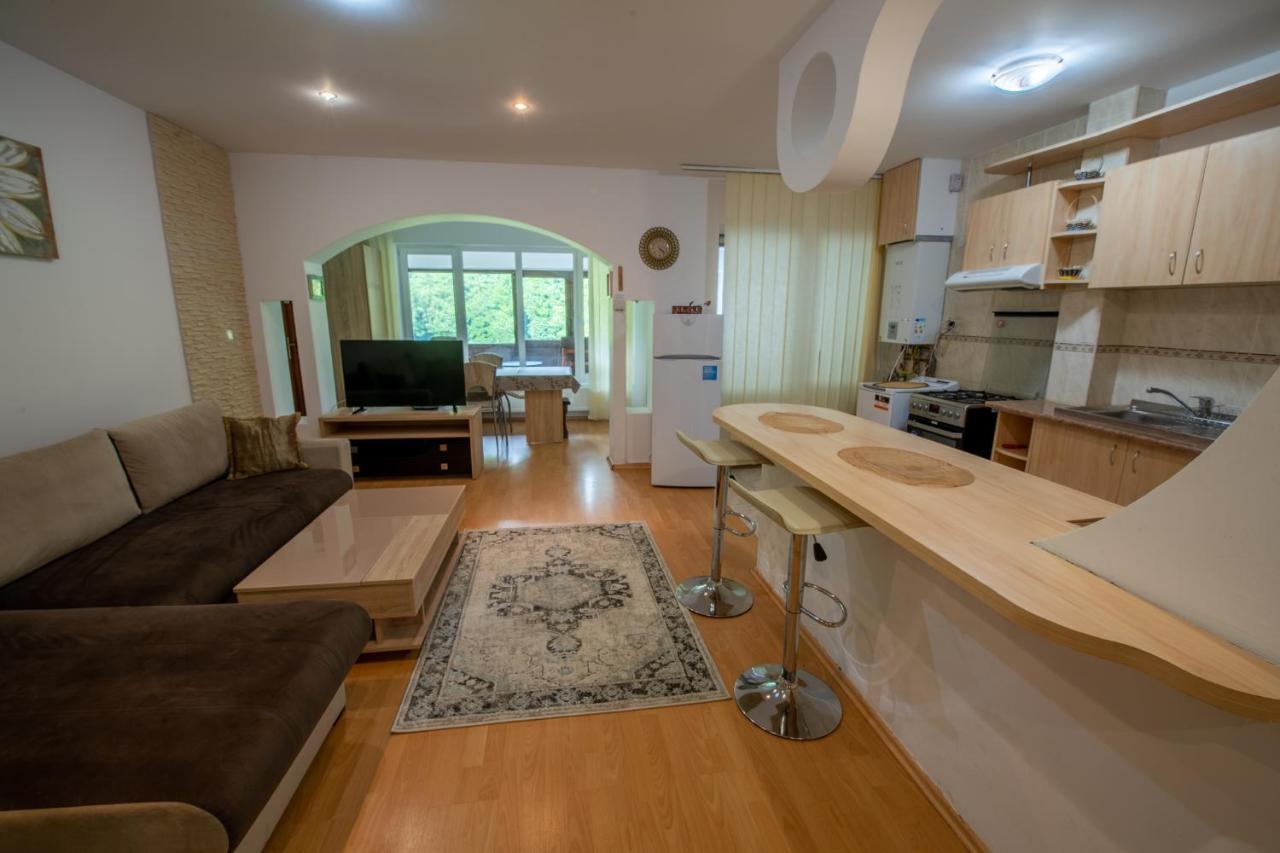 Monik Apartament Sinaia Ngoại thất bức ảnh