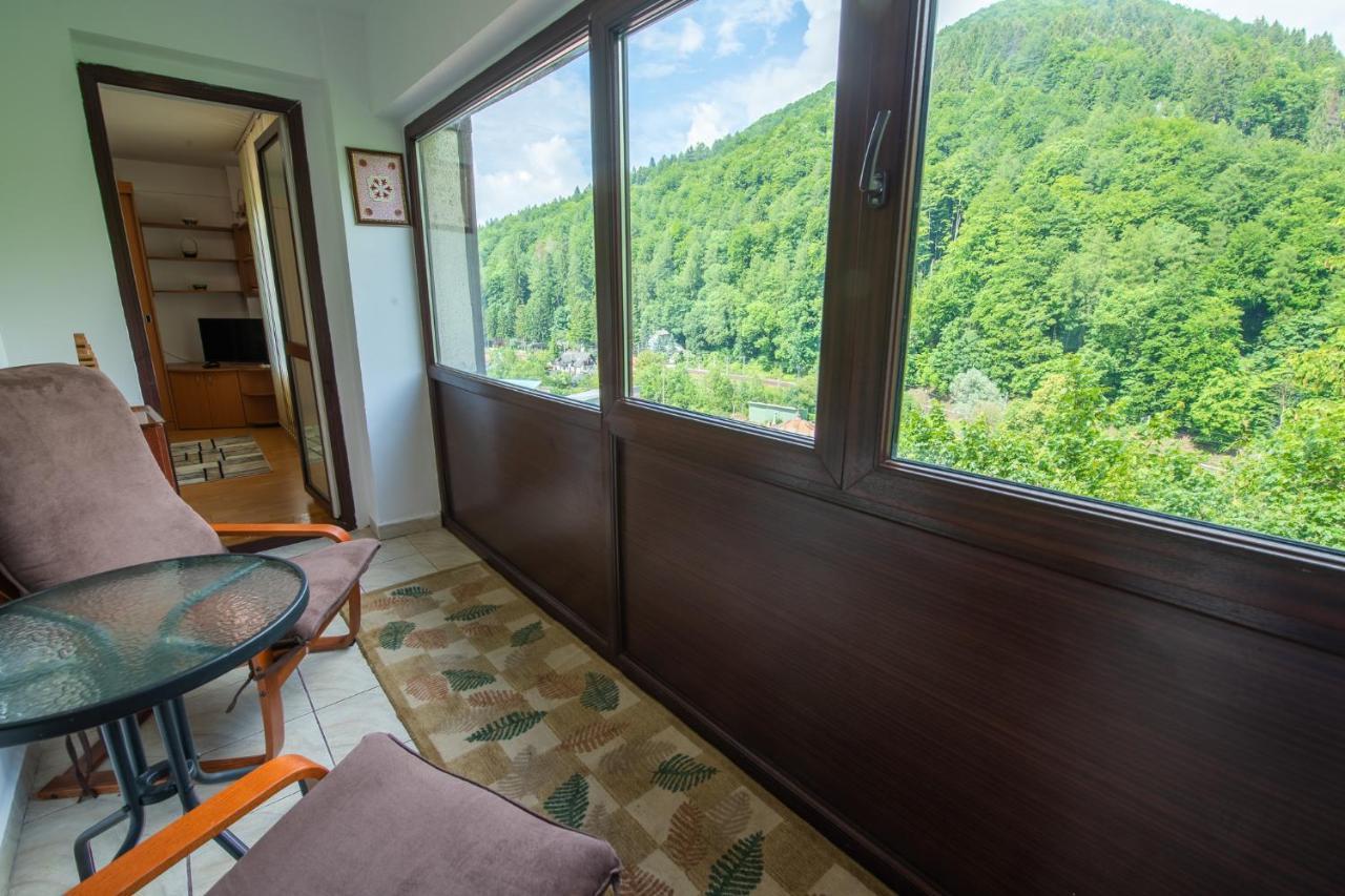 Monik Apartament Sinaia Ngoại thất bức ảnh