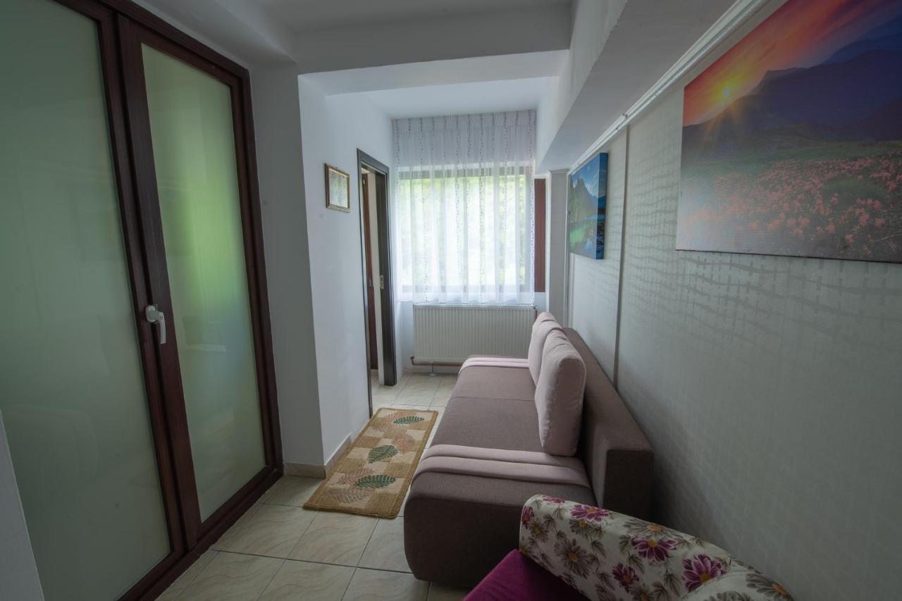 Monik Apartament Sinaia Ngoại thất bức ảnh