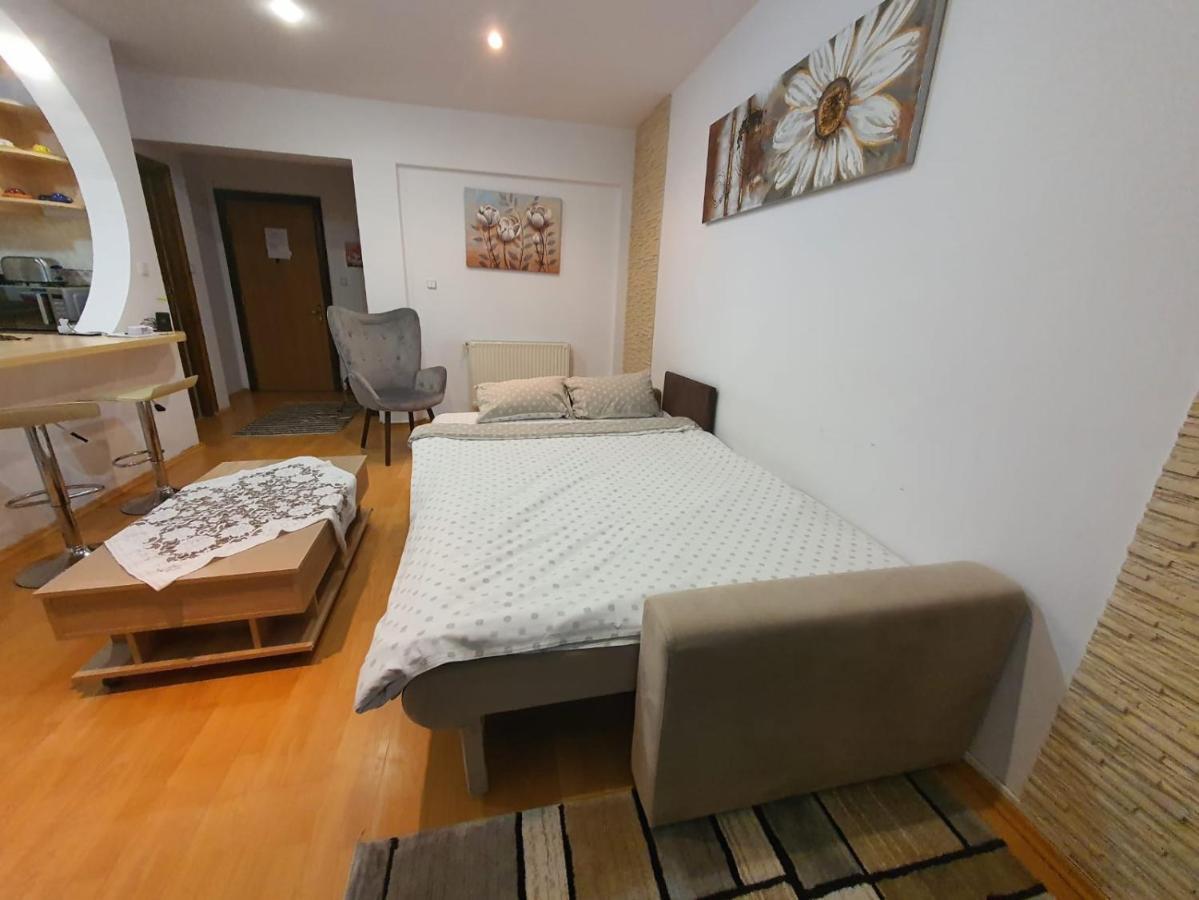 Monik Apartament Sinaia Ngoại thất bức ảnh